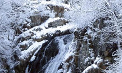 inverno